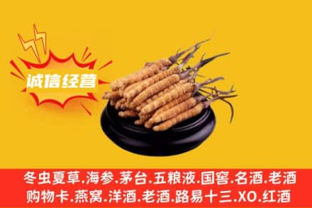 张家港市回收冬虫夏草